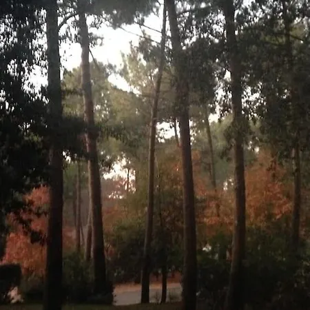 Διαμέρισμα La Pinede Golf, Surf, Velo, Piscine